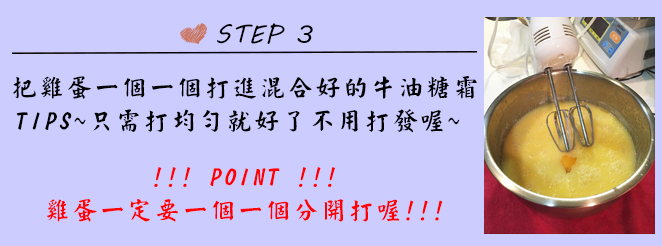 Expert_mona葡萄乾餅乾